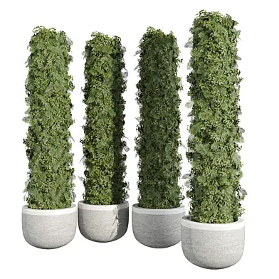 Outdoor Plant 231
