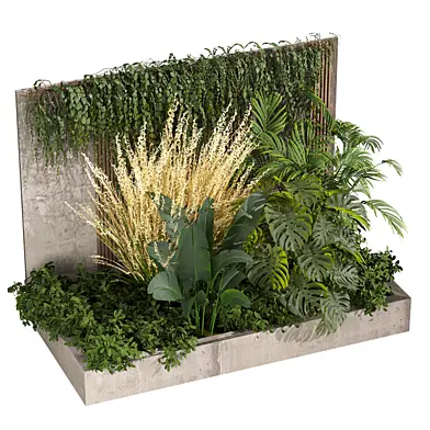 plant vol 1297 - indoor - garden - monstera
