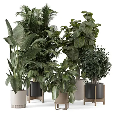 Indoor Plants in Ferm Living Bau Pot Large_Set 4958