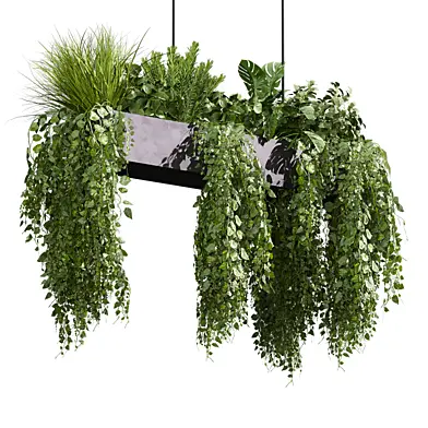 plant vol 1310 - hanging - ivy