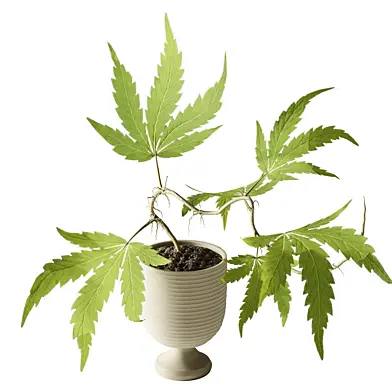 plants bouquet 063