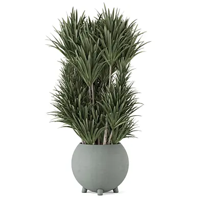 Yuka Plants in Rusty Concrete Pot 4968