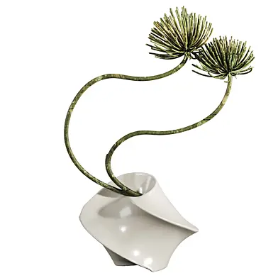 Plants Set 434
