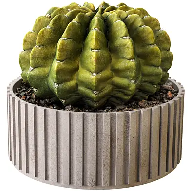 Round Cactus Fluted Planter
