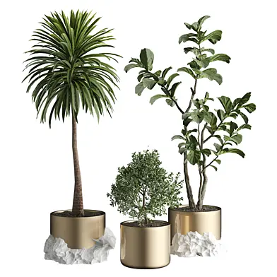indoor Plant 725