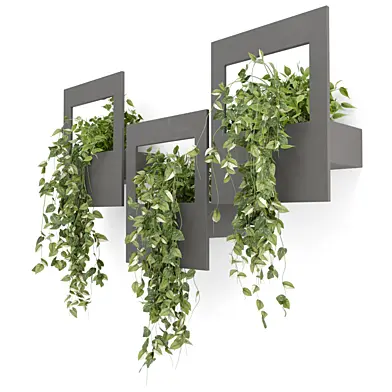 Indoor Hanging Plants in Shelve_Set 4989