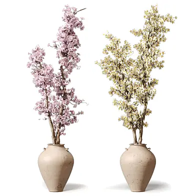 Plants - Flowers Branchs Blossom Tree 721