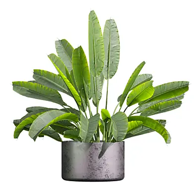 plant vol 1328