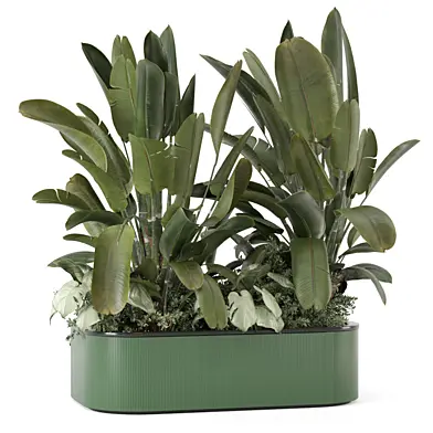 Outdoor Plants in Metal Pot_Set 5017