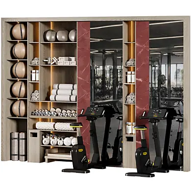 Home Gym Wall Rack with Equipment 10
