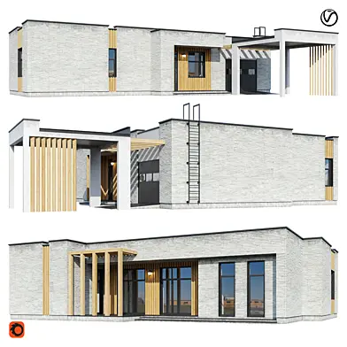 Modern house V177