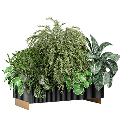 outdoor bush plants 2869