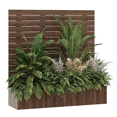 Decorative Shrubs in Wooden Box