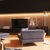 luxury livingROOM
