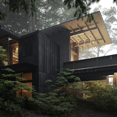 House at Longbranch Olson Kundig Architects, USA