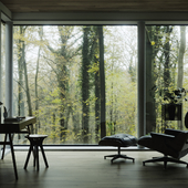 Autumn mood forest interior design