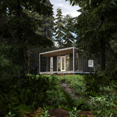 Дом в лесу в стиле минимализм
