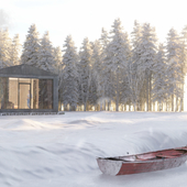 Современный дом в атмосфере зимнего леса