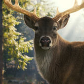 Photorealistic CG Deer