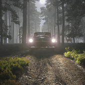 Ночной выезд таксиста в лес