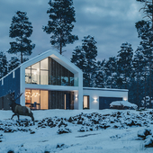 Modern Barn House in Poland winter version
