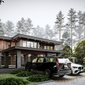 Modern house in a pine forest