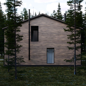 Визуализация дома в хвойном лесу