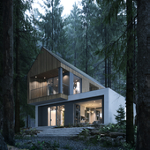 Forest House | Concept Project