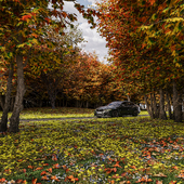 BMW in autumn