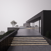 House, fog