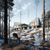 House in snow forest 2024