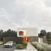 Modern house overcast visualization