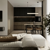 Living room and Kitchen