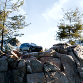 Car in The Wild