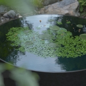 Circle Water Pool