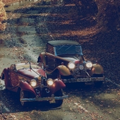 Золотая осень