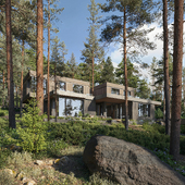 Дом в сосновом лесу