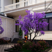 Neoclassic exterior