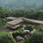 The Eye of the Forest