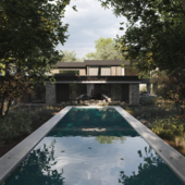 Modern Woodland House