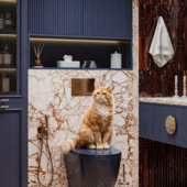 Bathroom Сан узель