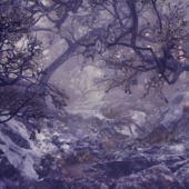 Mystical Forest
