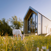 Meadow House. Sunset & Goat