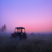 A misty August dawn
