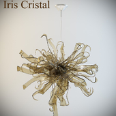 Iris Cristal