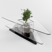 Table glass under the order. For plants.