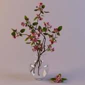 Bouquet of crabapple tree