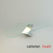Cattelan /  hyatt