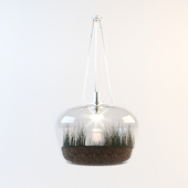 Greenhouse bulb
