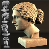 Aphrodite Head Sculpture